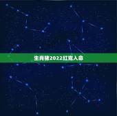 生肖猪2022红鸾入命，已婚人士红鸾入命