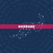 属虎男更佳婚配，1998年属虎男更佳婚配