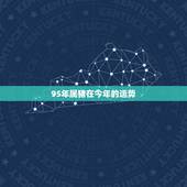 95年属猪在今年的运势，95年12月四号属猪的今年运势怎么样