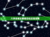 八字合婚主要看日柱还是生肖，八字合婚主要看哪一柱