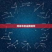 鸡年牛的运势如何，今年属牛的运势怎么样？