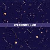邓文迪属相是什么动物，12生肖每个动物的来历是什么？
