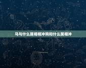 马与什么属相相冲狗和什么属相冲，马和什么属相相冲