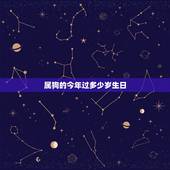属狗的今年过多少岁生日，属狗的今年几岁对照表