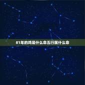81年的鸡是什么命五行属什么命，81年男鸡的属相 是什么命