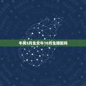 牛男5月生女牛10月生婚配吗，属牛女和属牛男婚配