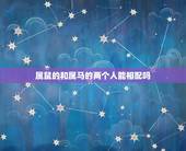 属鼠的和属马的两个人能相配吗，属羊能和属鼠的在一起吗