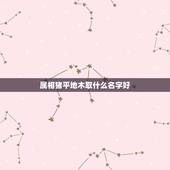 属相猪平地木取什么名字好，用属相猪做微信名，最好三到四个字