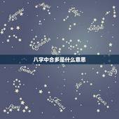 八字中合多是什么意思，八字里的三合是什么意思？