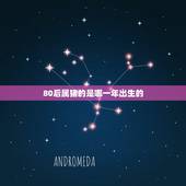 80后属猪的是哪一年出生的，95属猪哪一年结婚更好