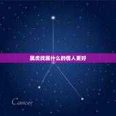 属虎找属什么的情人更好，怎么让属虎男愿意给你钱花