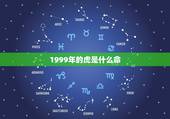 1999年的虎是什么命，1996年属鼠的是什么命