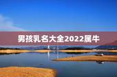 男孩乳名大全2022属牛，2022 牛男宝宝小名