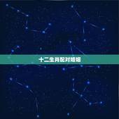 十二生肖配对婚姻，十二生肖姻缘配对？