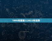 1995年属猪人2022年运势，1995年属猪在2022年怎么样
