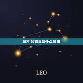 属牛的克星是什么属相，男属牛的和什么属相相克