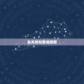 生肖龙和属相婚配，属龙的属相婚配表