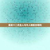 属龙十二月生人与牛人婚配合婚吗，属龙的和属牛的相配吗？