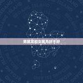 男属龙和女属马好不好，龙男和马女的属相合不合