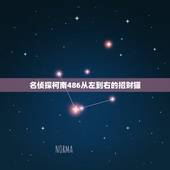 名侦探柯南486从左到右的招财猫，名侦探柯南486后面的分集目录