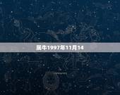 属牛1997年11月14，属牛人2022 年11月运势