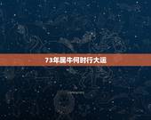 73年属牛何时行大运 73年牛今年运怎么样