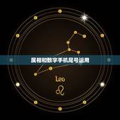 属相和数字手机尾号运用，六十年称之为 ”一甲子“ ！ 十二年一个生肖轮