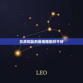 女虎和鼠的属相婚配好不好，解析：生肖虎和生肖鼠相配吗