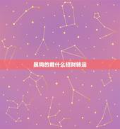 属狗的戴什么招财转运，94年属狗戴什么招财旺运