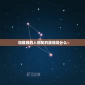 和属猴的人相配的属相是什么，属猴的和什么属相最相配 12属相婚配表