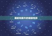 属蛇和属牛的姻缘怎样，为什么属蛇和属牛很好