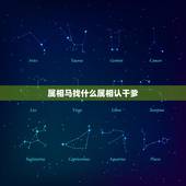 属相马找什么属相认干爹，属相马找一什么属相干爹合适？