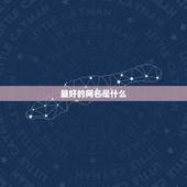 最好的网名是什么，什么网名最好？
