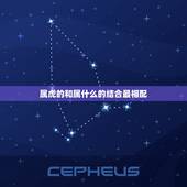 属虎的和属什么的结合最相配，1986属虎和1992年属猴的在一起对财运