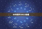 85年属牛2022劫难，1985年属牛人2023年运势