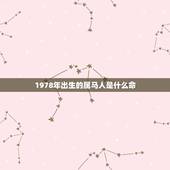 1978年出生的属马人是什么命，78年属马人一生命运是怎么样的