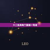 十二生肖每个属相一句话，用十二生肖写一段话