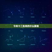 今年十二生肖的什么属相，十二生肖今年是什么生肖最好