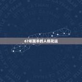 67年属羊的人桃花运，61年属牛的和67年属马的在