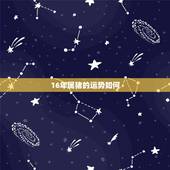 16年属猪的运势如何，2016年属猪人的全年运势