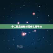 十二星座的性格是什么样子的 十二星座谁最聪明