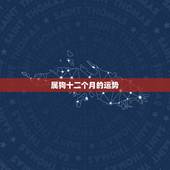 属狗十二个月的运势，属狗人的运势？