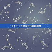 十天干十二地支五行阴阳属性，十二地支所属五行