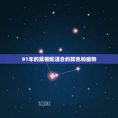 01年的属相蛇适合的颜色和植物，属蛇的人旺财的植物是？