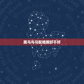 属马与马配婚姻好不好，属马的和属马的能不能婚姻