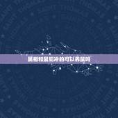 属相和鼠犯冲的可以养鼠吗，属相鼠适合养什么动物