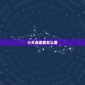 小天真香要怎么做，烧香烧到“小天真”是什么意思啊