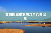 高圆圆属相农历几月几日出生，高圆圆星座和属相