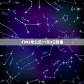 1992年公历11月3日属相，92年11月是属什么的？