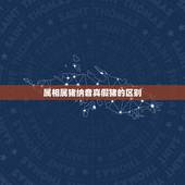 属相属猪纳音真假猪的区别，生肖猪五行属什么，属猪的五行
